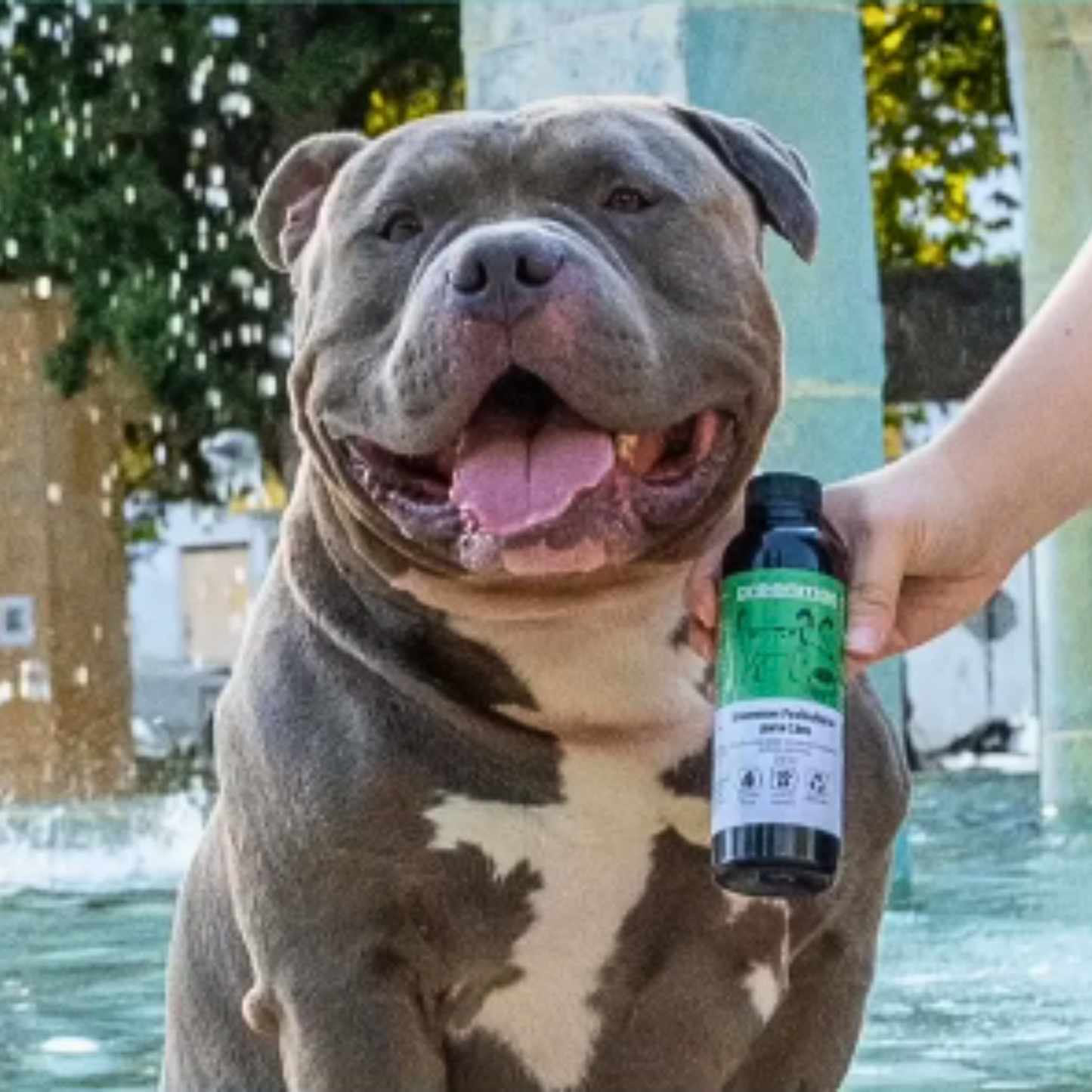 Prebioherbs para Cães