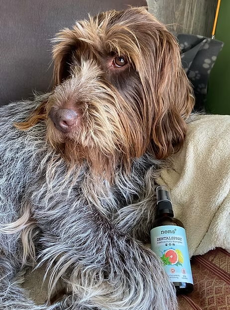 Spray Dentário Natural para Cães e Gatos
