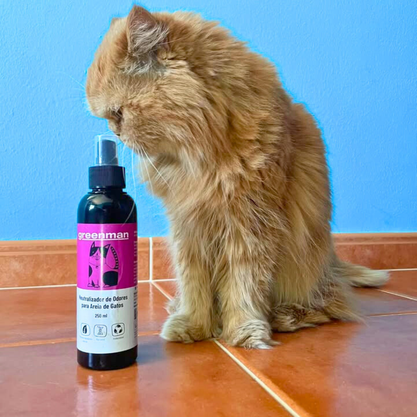 Desodorizante probiótico para caixas de areia de gatos
