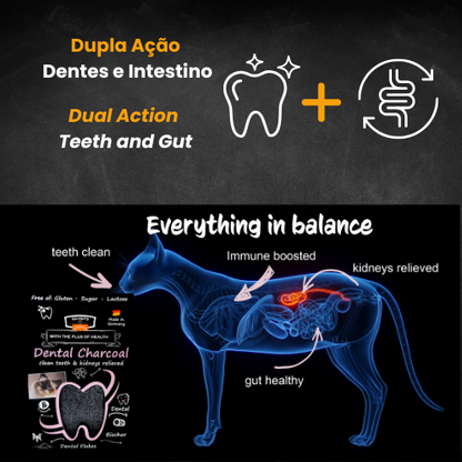 Dental Flakes com Carvão Ativado 2-em-1 para Gatos