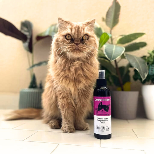 Cuidado probiótico natural para a pele e o pelo do gato
