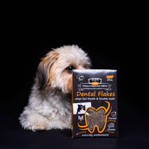 Dental Flakes