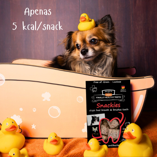 Snackies