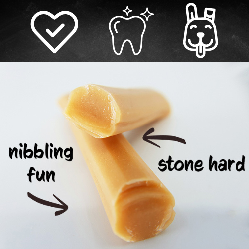 Hard Cheese