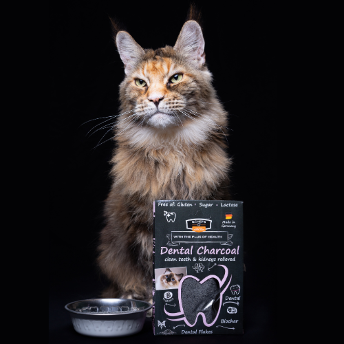Dental Flakes com Carvão Ativado 2-em-1 para Gatos