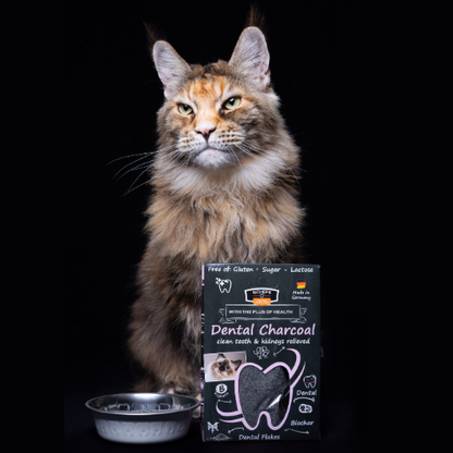 Dental Flakes com Carvão Ativado 2-em-1 para Gatos