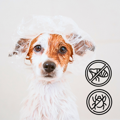 Sabonete Antiparasitário para Cães – Neem