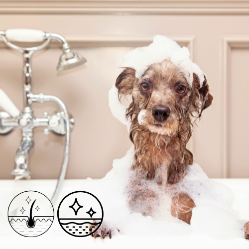 Sabonete Natural Suave para Cães – Aveia & Mel