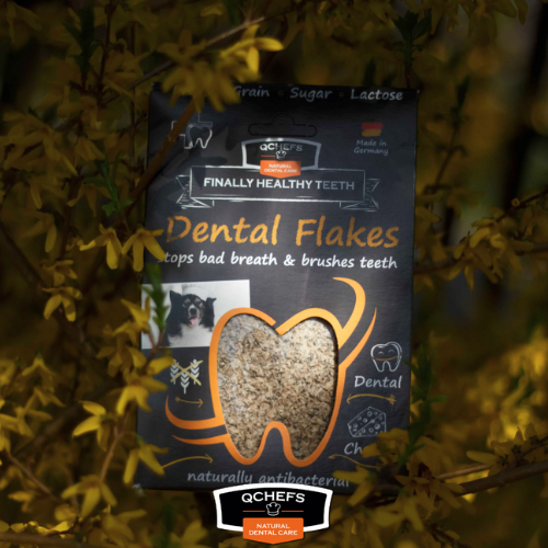 Dental Flakes