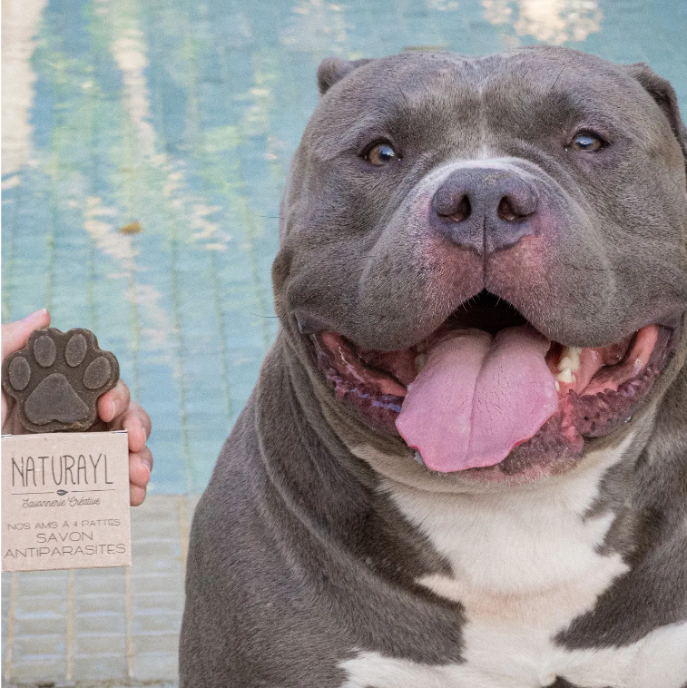 Sabonete Antiparasitário para Cães – Neem