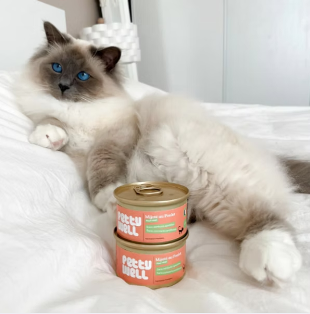Patê de Frango para Gatos