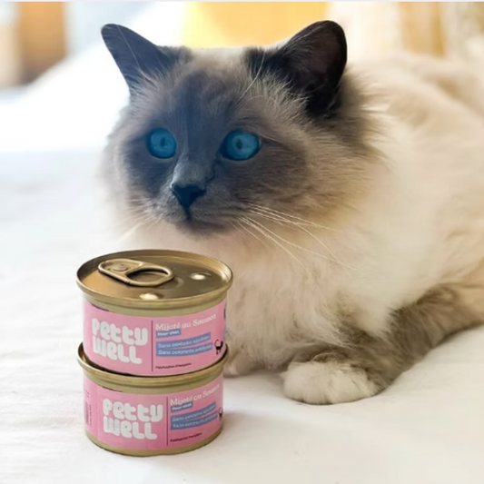 Patê de Salmão para Gatos