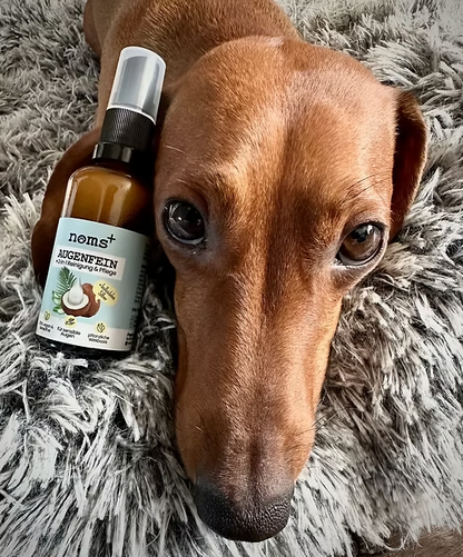Limpador e Cuidado Ocular 2-em-1 para Cães e Gatos com Prata Coloidal