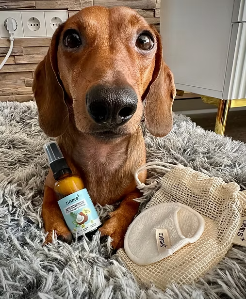 Limpador e Cuidado Ocular 2-em-1 para Cães e Gatos com Prata Coloidal
