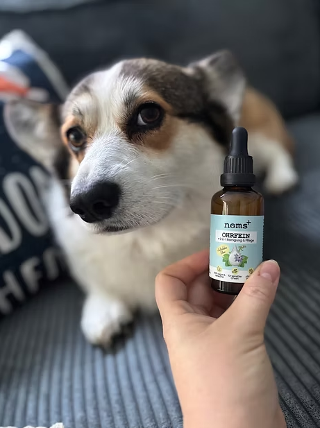 Limpador e Cuidado Auricular 2-em-1 para Cães e Gatos com Prata Coloidal