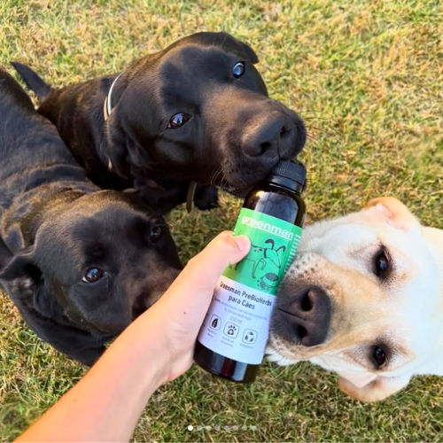 Prebioherbs para Cães